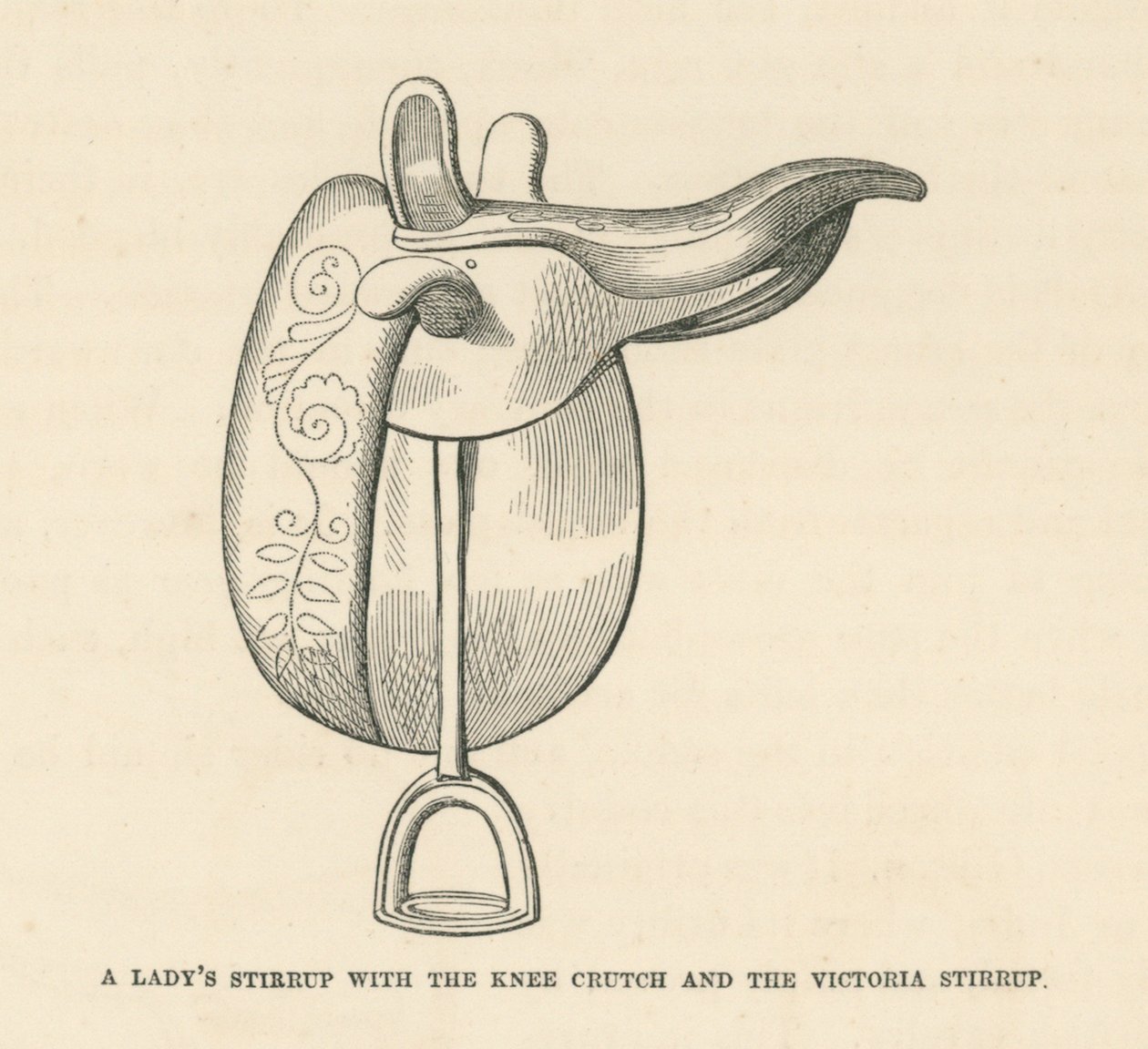 Estribo de senhora com a muleta de joelho e o estribo Victoria (gravura) de English School