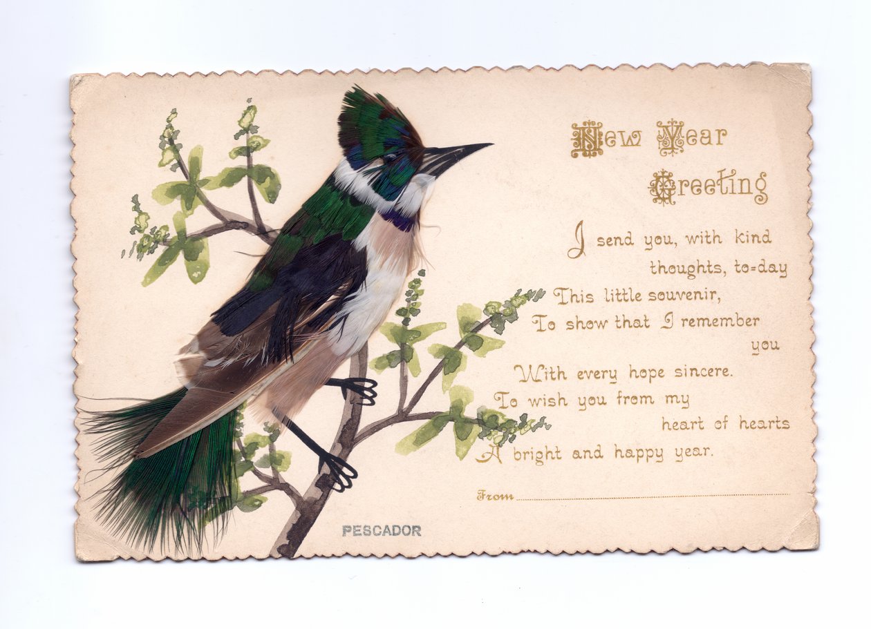 Um cartão de felicitações de Ano Novo de um guarda-rios feito de penas montado em uma árvore pintada à mão, por volta de 1900 de English School