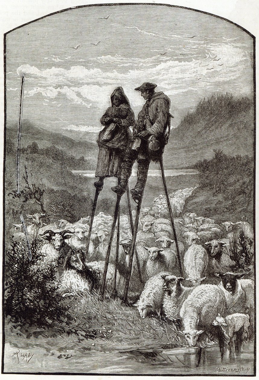 Uma pastoral no Landes, de &39;Leisure Hour&39;, 1891 de English School