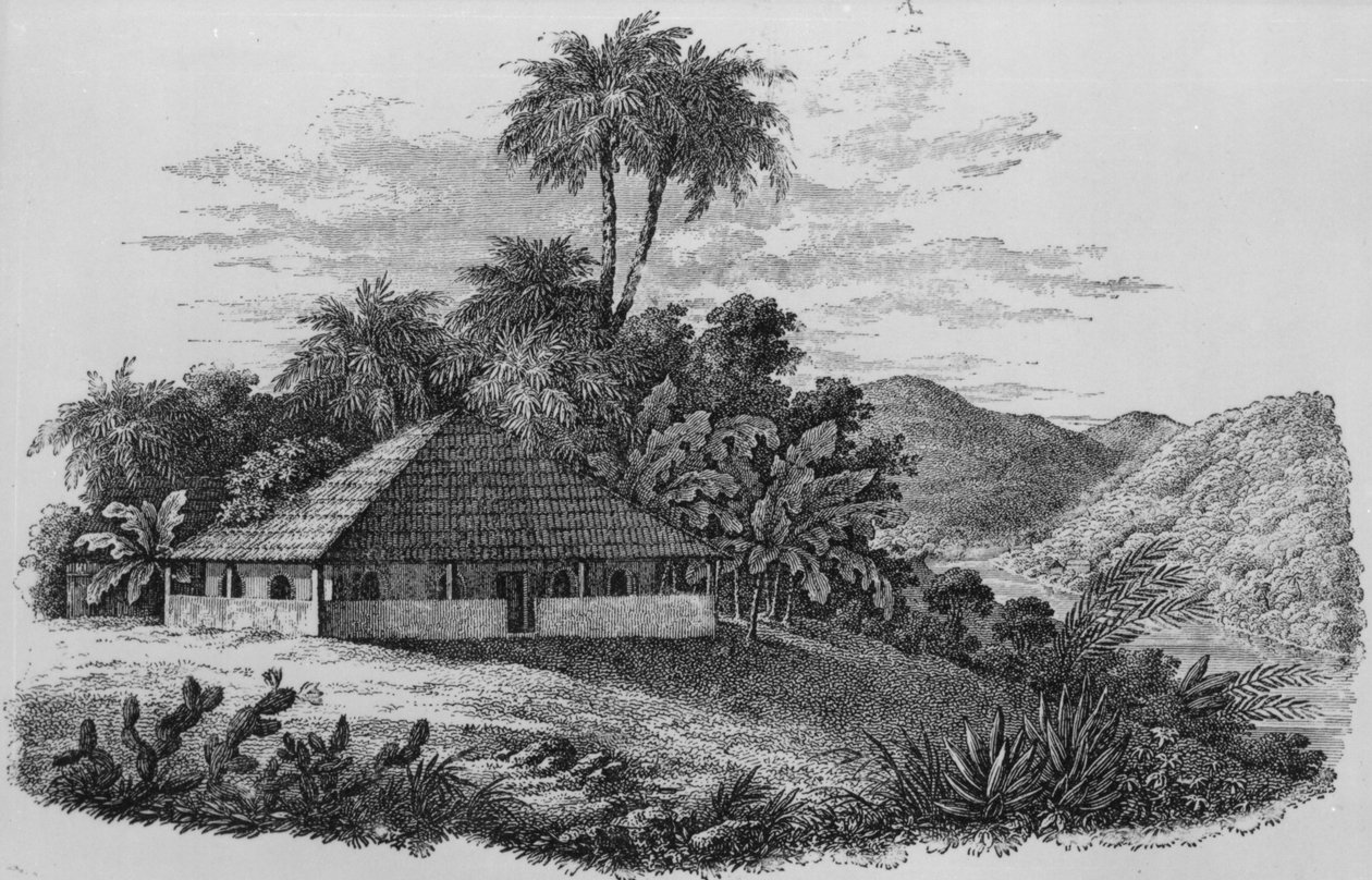 Casa de um plantador no Brasil (litografia) de English School