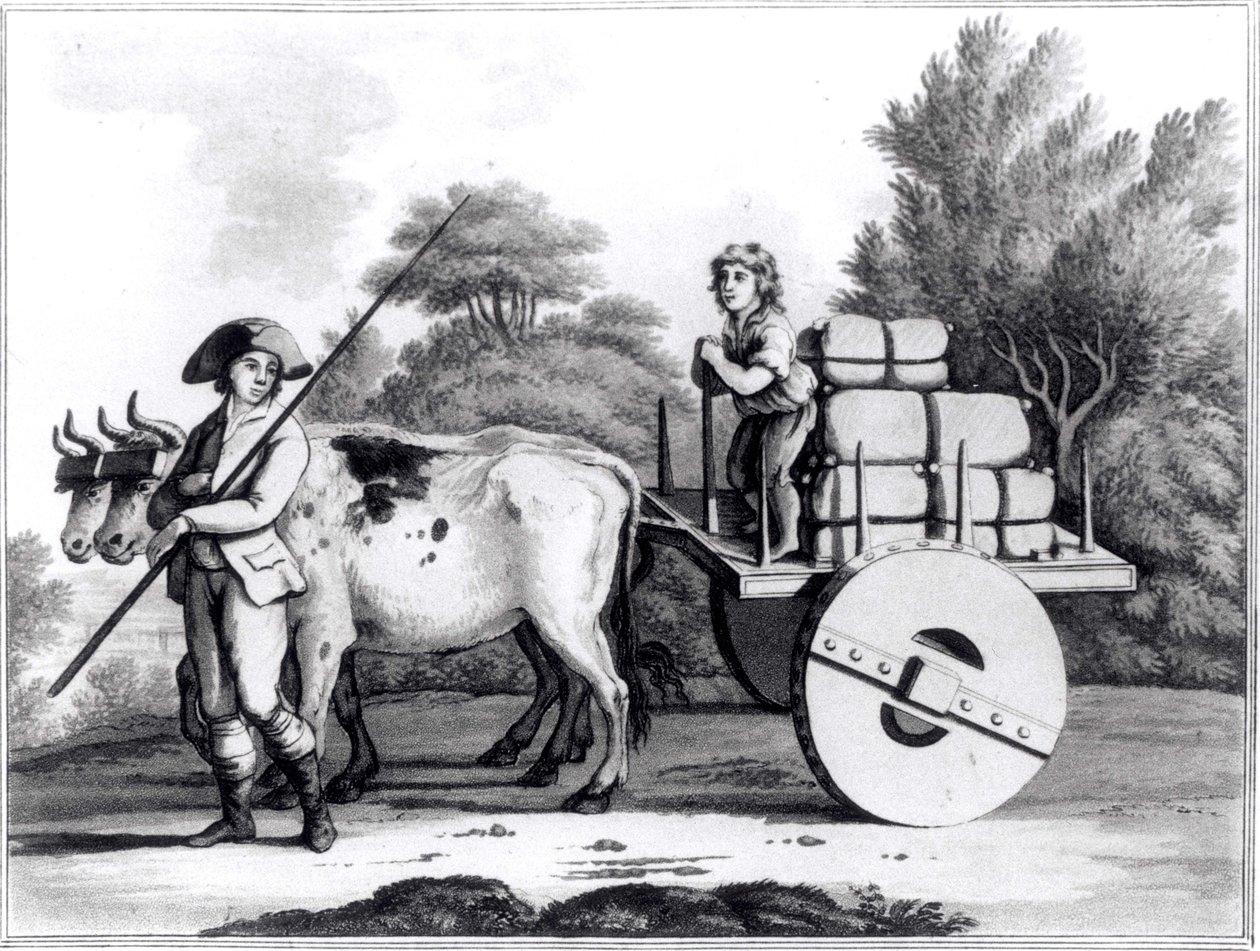 Uma quinta portuguesa, de uma visão geral do Estado de Portugal por James Murphy, publicada em 1797 de English School