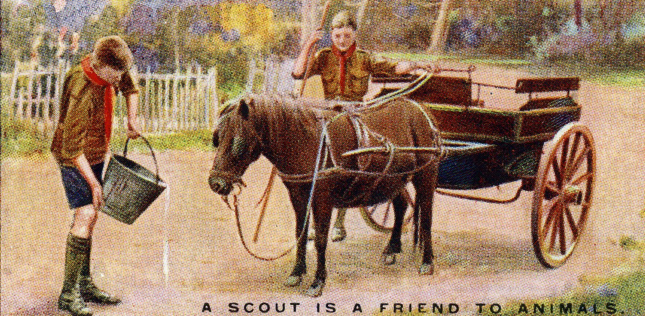 Um escoteiro é amigo dos animais, 1929 de English School