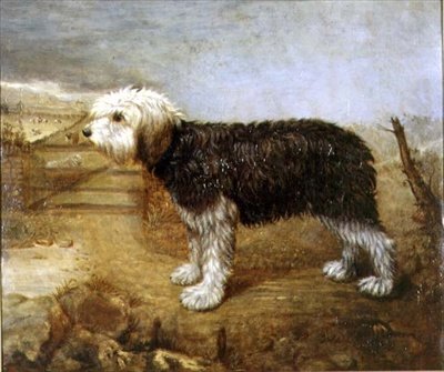 Um Cão Pastor, Campos Além de English School
