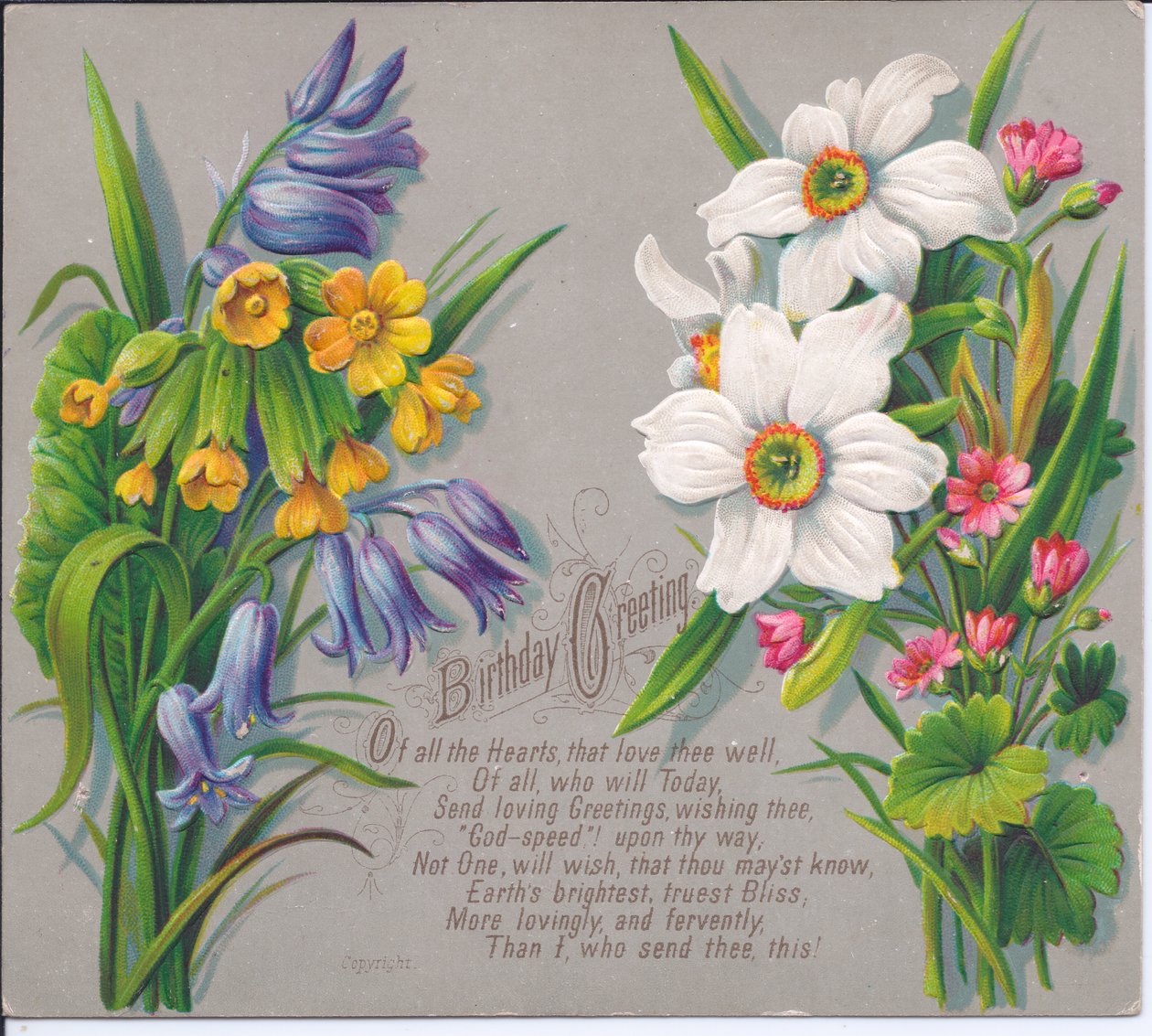Um cartão de aniversário vitoriano com sprays de narcisos e bluebells, por volta de 1880 de English School