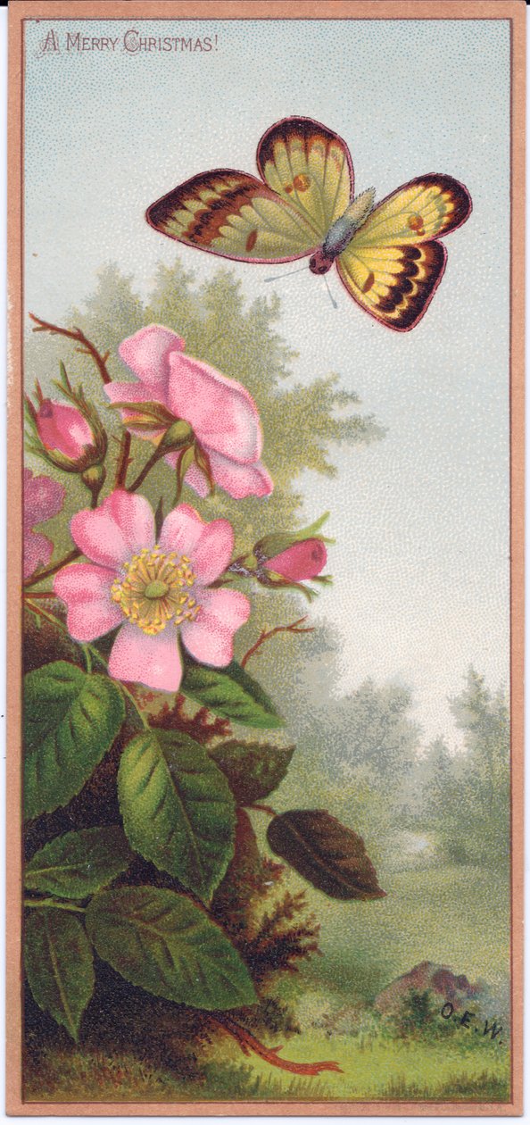 Um cartão de Natal vitoriano representando uma borboleta e um arbusto de rosas de cachorro, c.1880 de English School