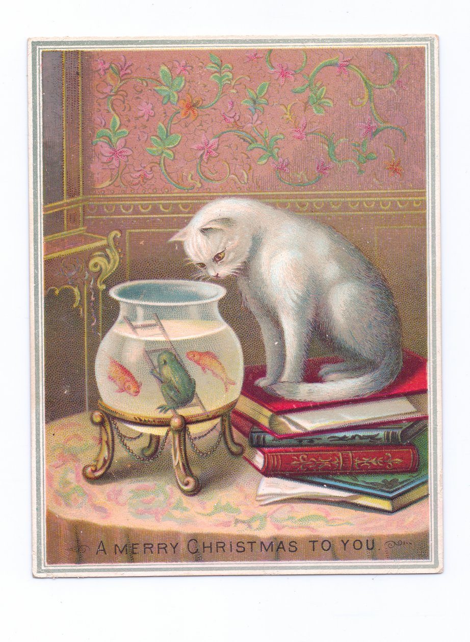 Um postal de Natal vitoriano de um gato sentado numa pilha de livros e a olhar para um aquário, c.1880 (litografia a cores) de English School