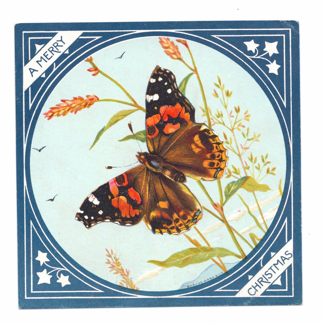 Um postal de Natal vitoriano com uma borboleta pintada, c.1880 (litografia a cores) de English School