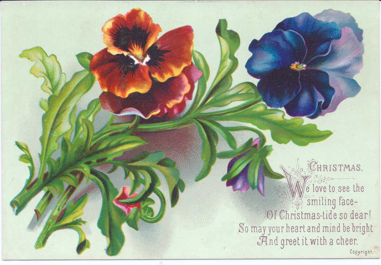 Um cartão de Natal vitoriano de um spray em pansies, c.1880 de English School