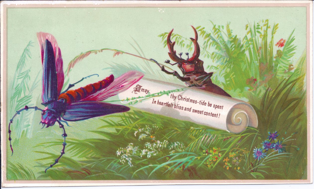 Um cartão de Natal vitoriano de um inseto, besouro de veado e pergaminho no qual está uma mensagem de Natal, por volta de 1880 de English School