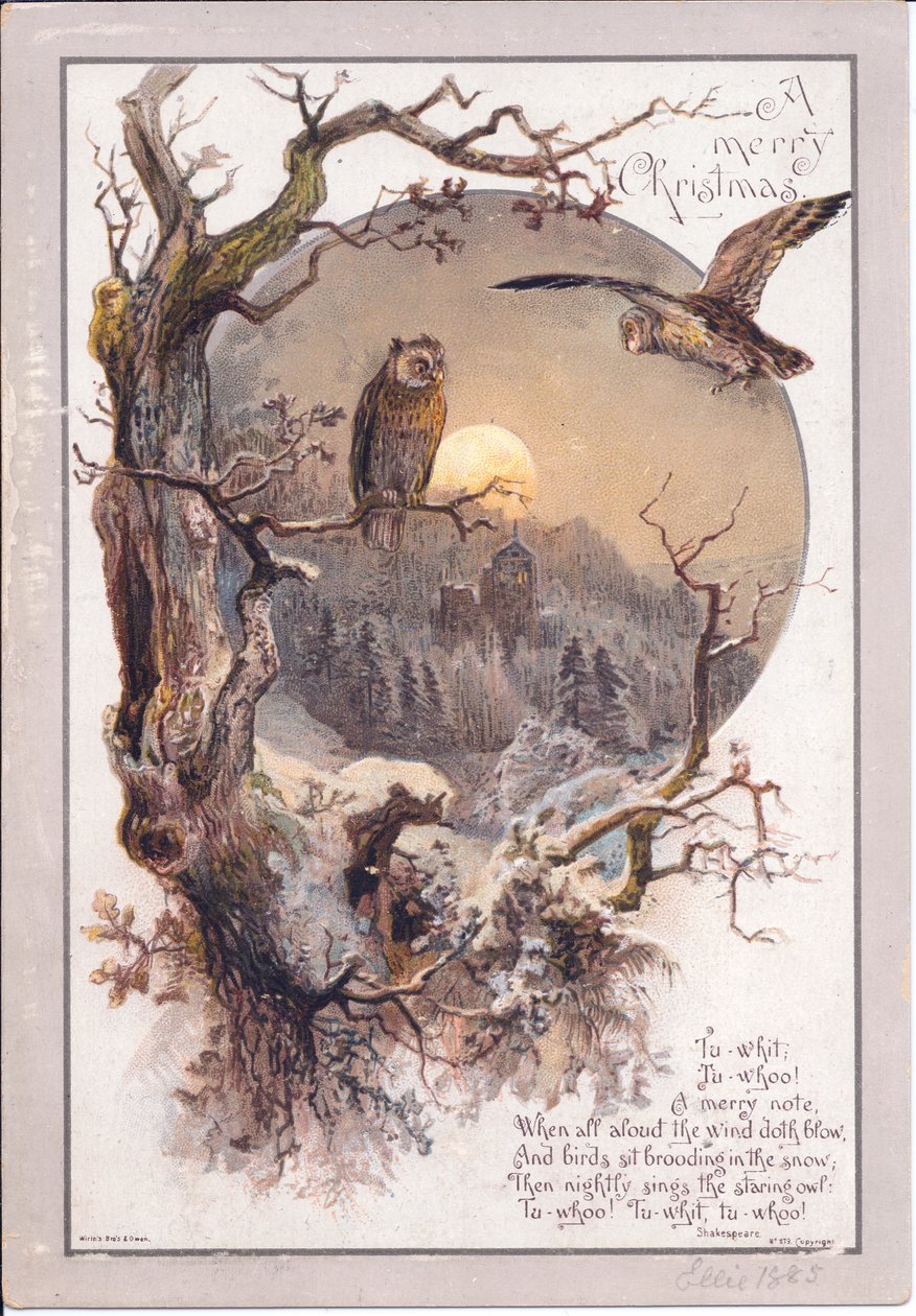 Um cartão de Natal vitoriano de uma coruja empoleirada num ramo numa noite de luar, c.1880 (cor litho) de English School