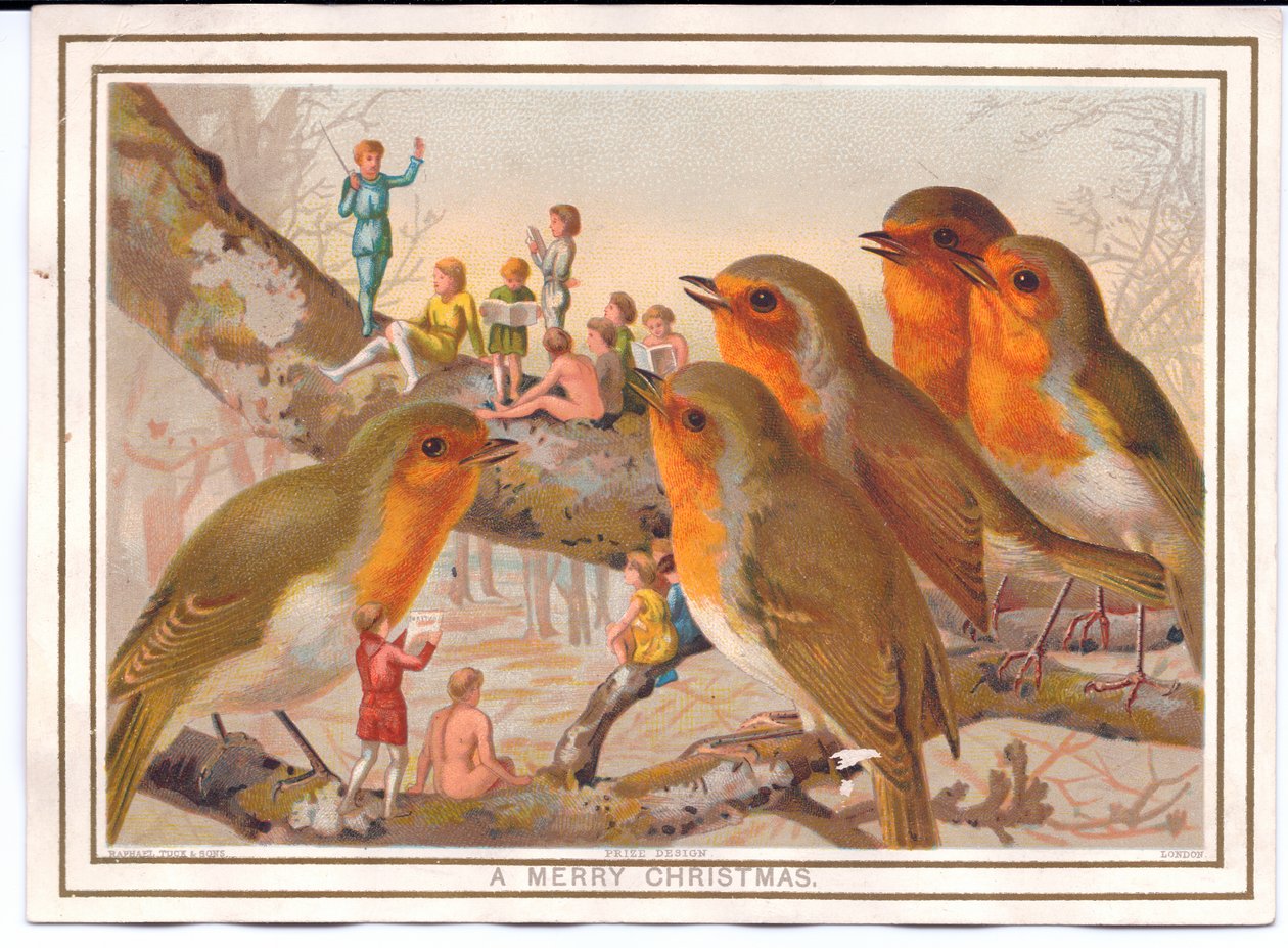 Um cartão de Natal vitoriano de cinco piscos de peito vermelho empoleirar-se em um galho ouvindo uma banda de fadas, c.1880 de English School