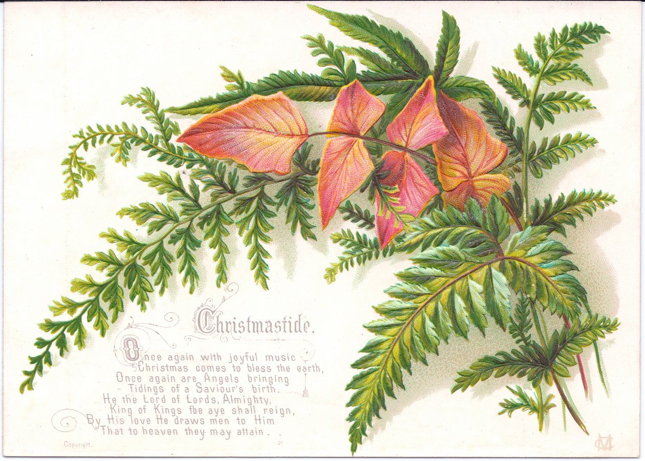 Um cartão de Natal vitoriano com um ramo de samambaias, c.1880 de English School