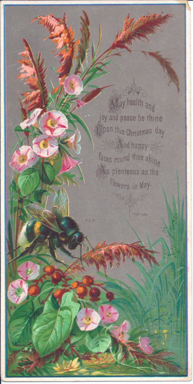 Um cartão de ano novo vitoriano de uma abelha pairando sobre flores, por volta de 1880 de English School