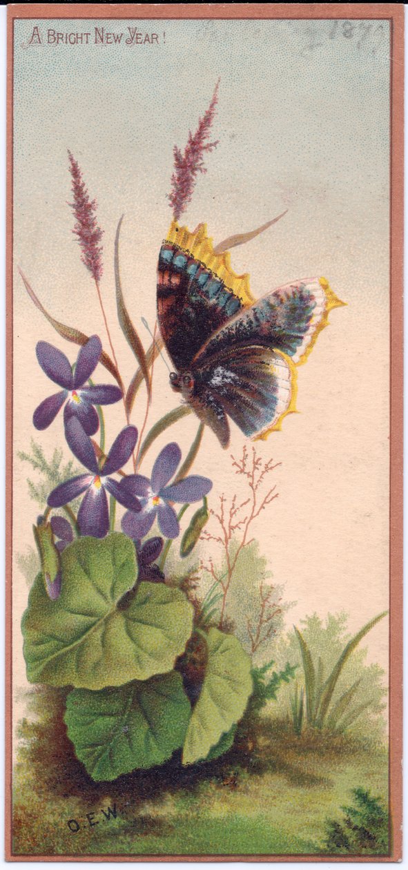 Um cartão de ano novo vitoriano de violetas e uma borboleta, c.1880 de English School
