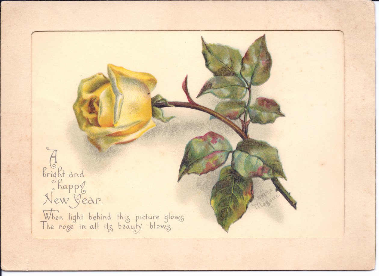 Um cartão hold-to-light vitoriano do ano novo de uma rosa amarela. Quando o cartão é colocado na frente de uma fonte de luz, o botão da rosa se transforma em plena floração, por volta de 1898 de English School