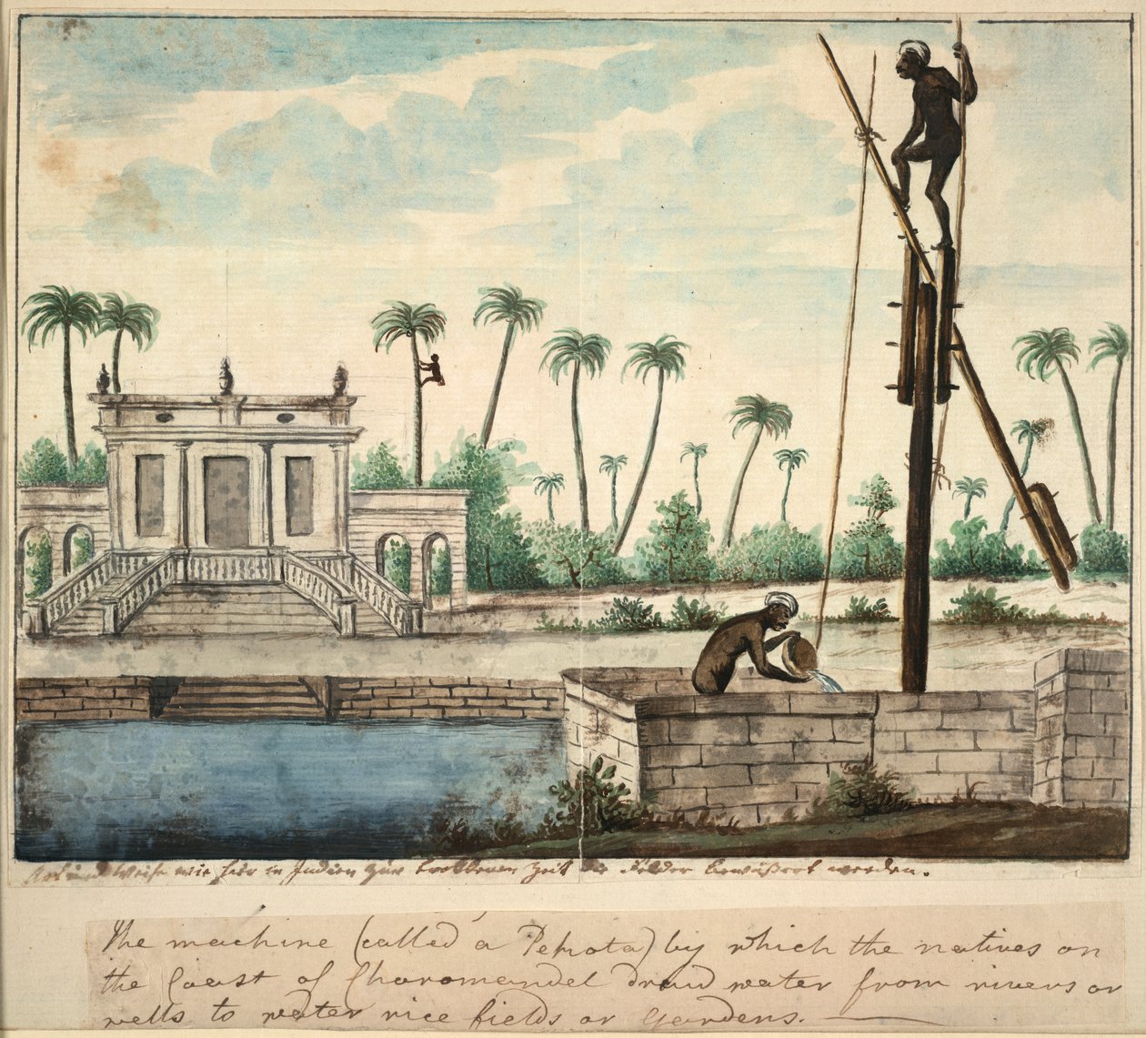 Um jardim colonial mostrando irrigação, c.1787 (aguarela sobre papel) de English School