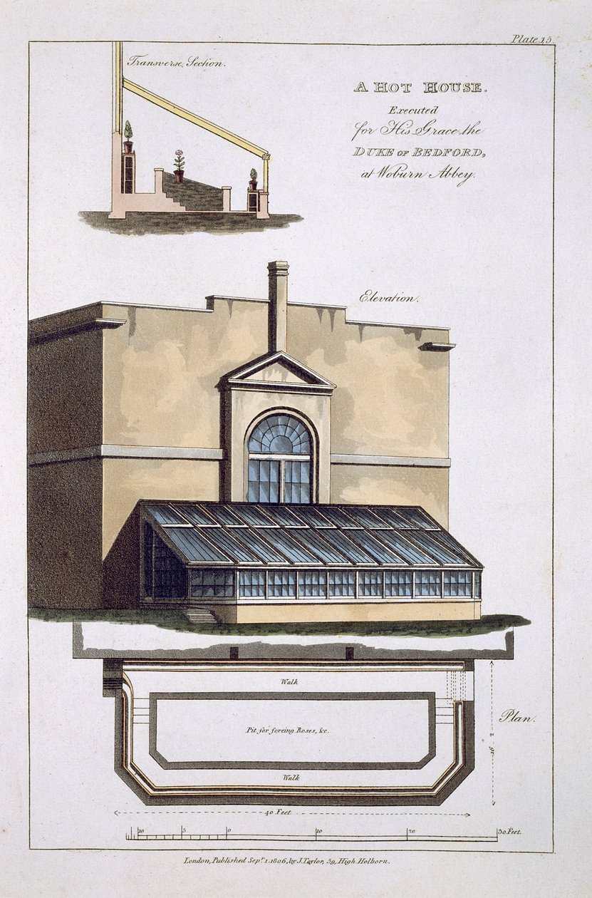Uma hot-house executada por Sua Graça o Duque de Bedford na Abadia de Woburn, 1806 de English School