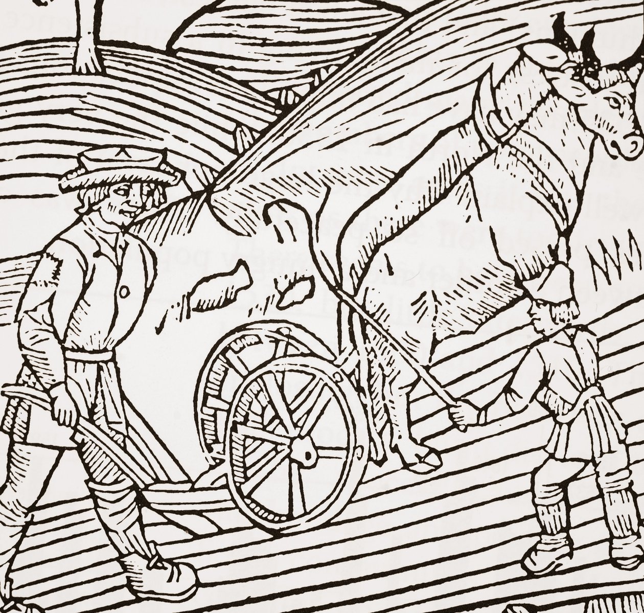 Um par de bois amarrado a um arado, título de John Fitzherberts Boke of Husbandry, primeiro pub. 1523 de English School