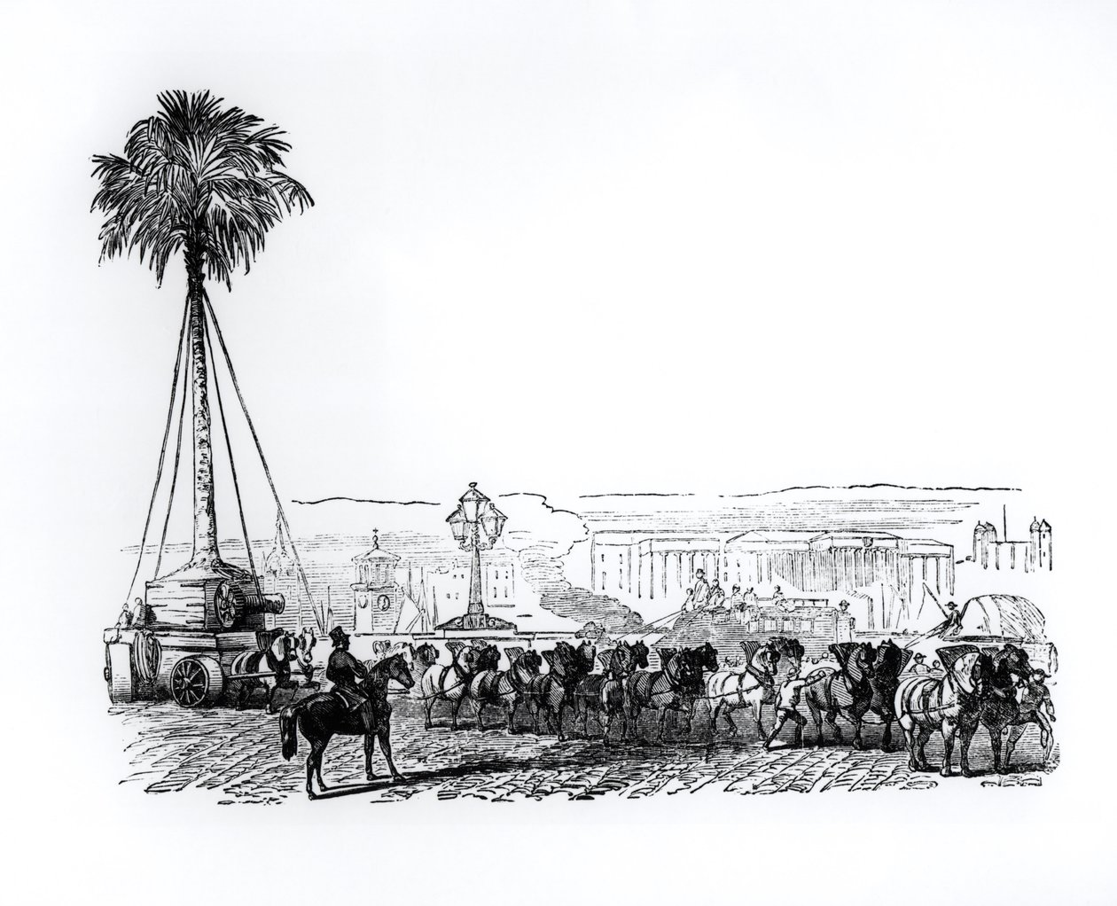 Uma palmeira transportada para o Hyde Park para a Grande Exposição, Londres, 1851 de English School