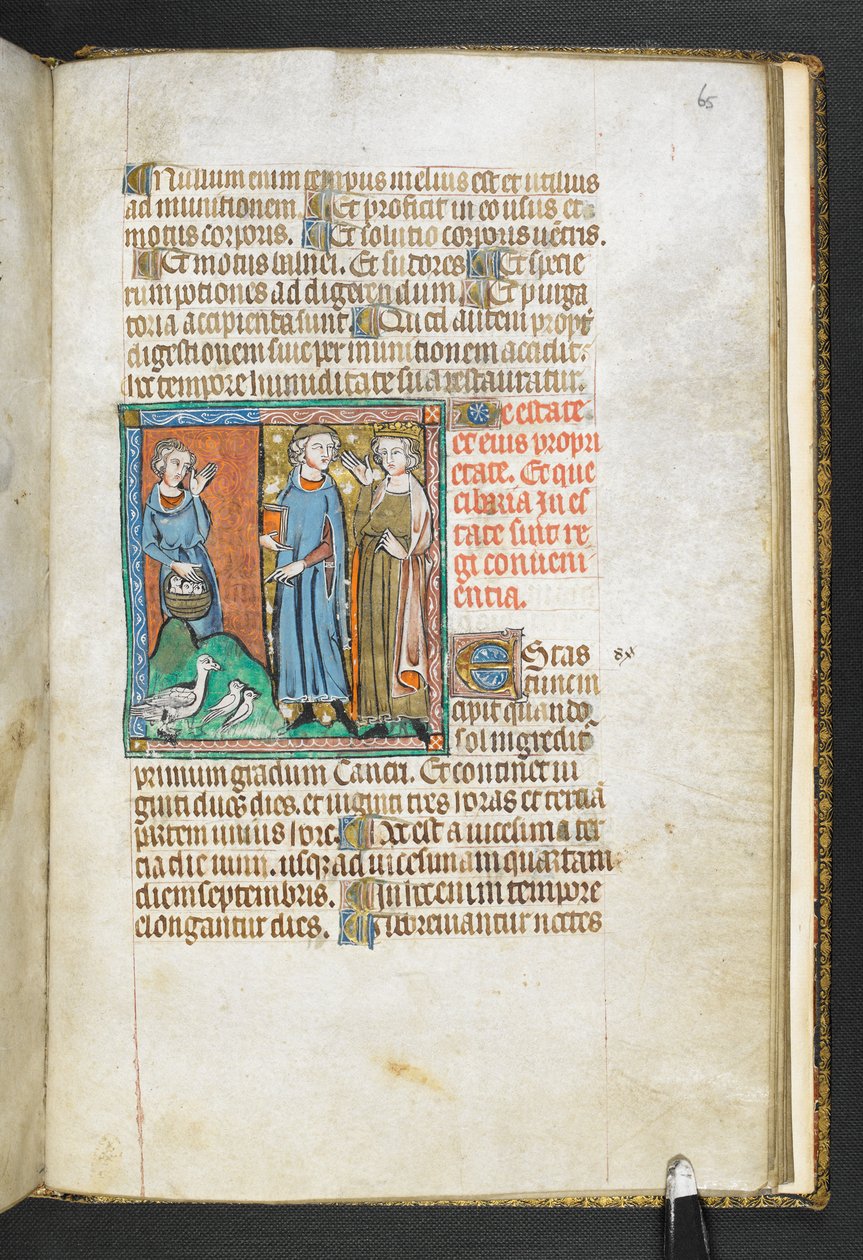 Adicionar MS 47680, f.65r Aristóteles apontando para as aves trazidas ao rei, de Secretum Secretorum, c.1326-27 (vellum) de English School