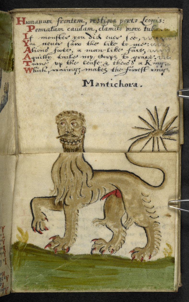 Adicionar MS 57312 f.11 Game-book (tinta e cor no velino) de English School
