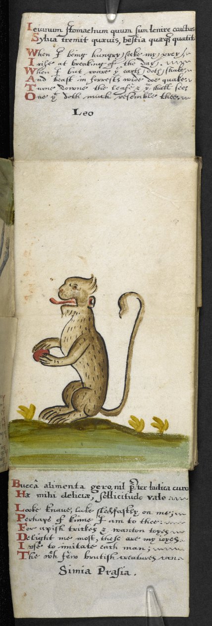 Adicionar MS 57312 f.12 Game-book (tinta e cor no velino) de English School