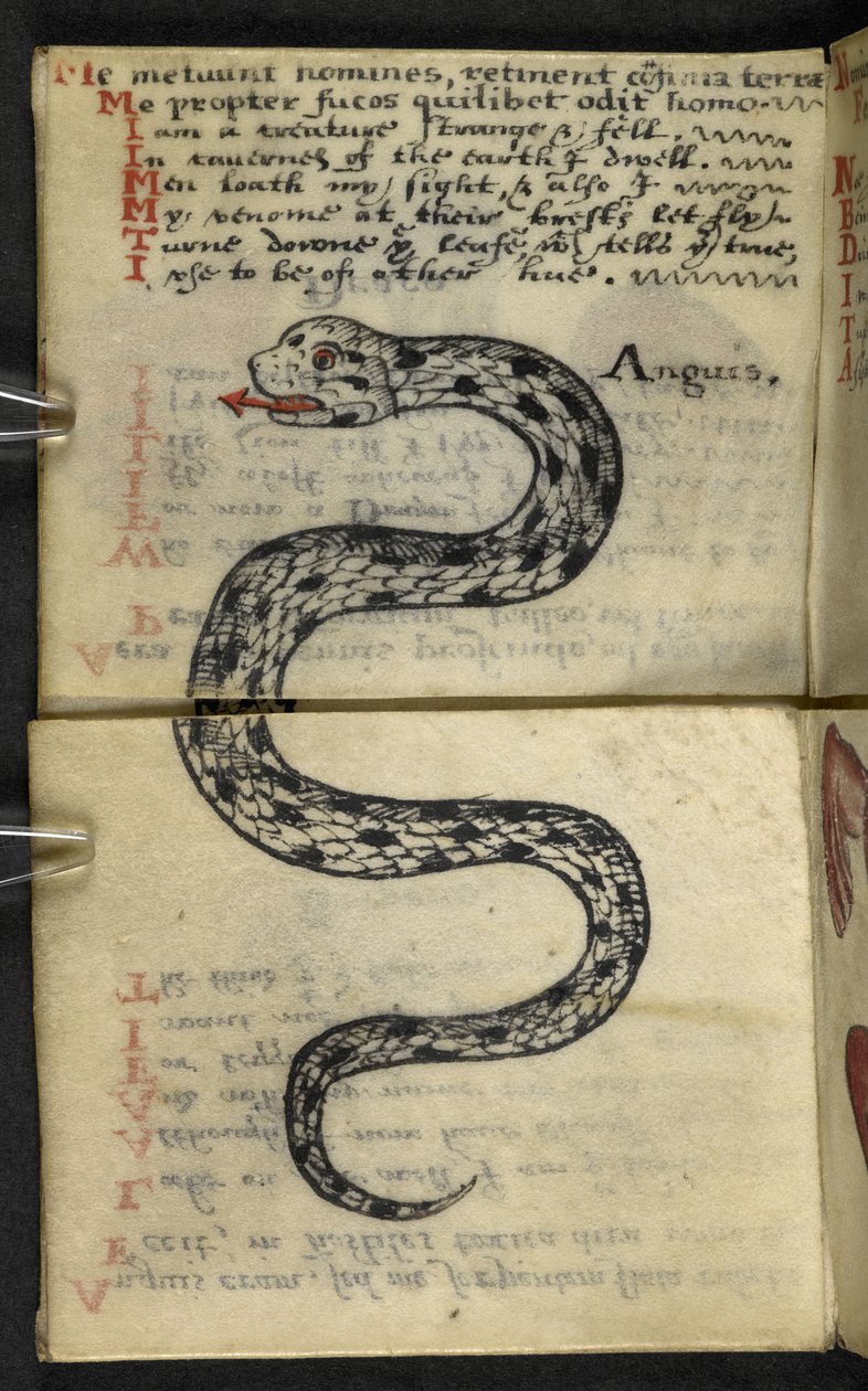 Adicione o livro de jogos MS 57312 f.4 (tinta e cor em pergaminho) de English School
