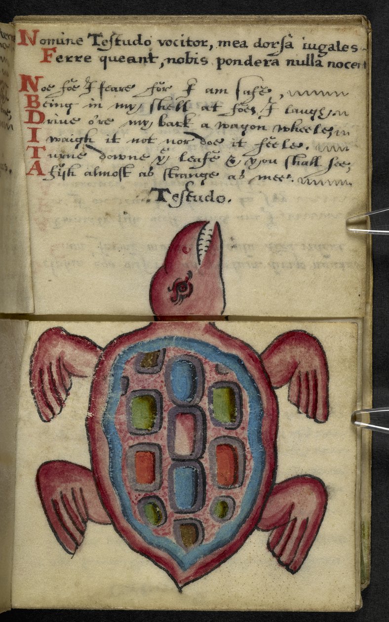 Adicionar MS 57312 f.5 Game-book (tinta e cor no velino) de English School