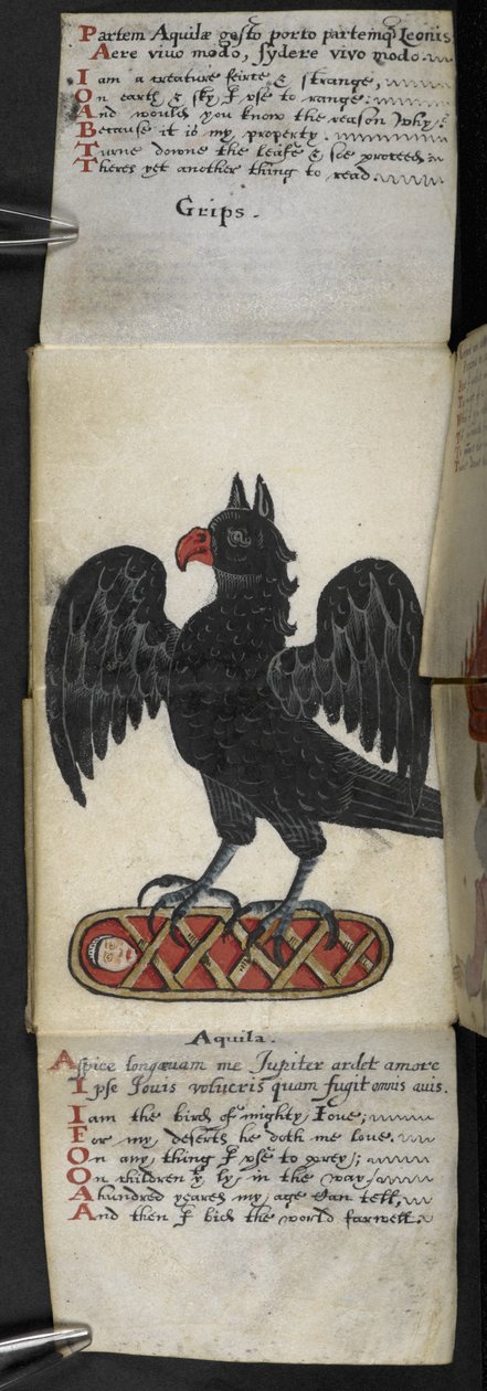 Adicionar MS 57312 f.8 Game-book (tinta e cor no velino) de English School