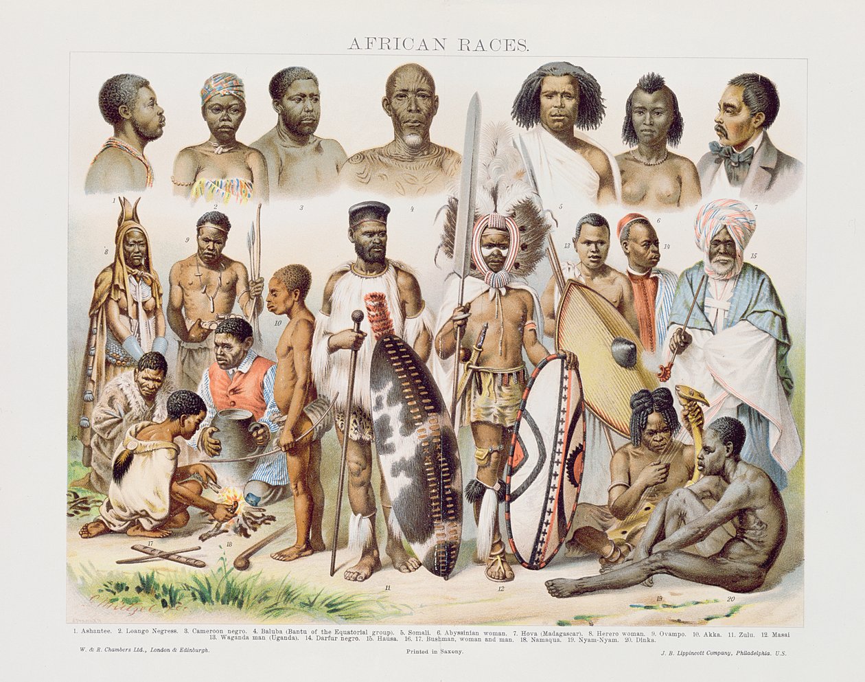 Raças Africanas (gravura a cores) de English School