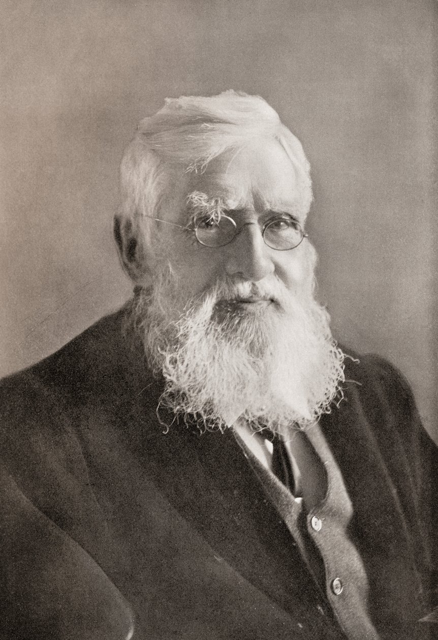 Alfred Russel Wallace, de "The Year" (O Ano) de English School