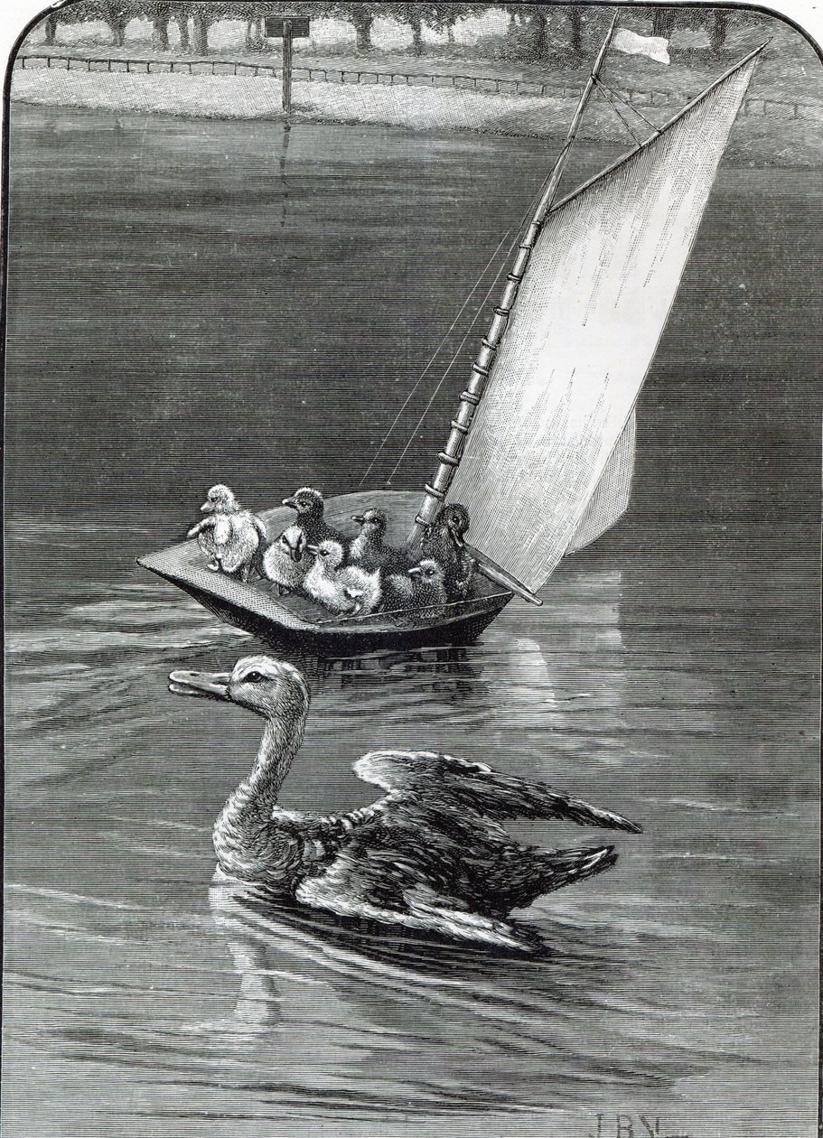 Uma mãe ansiosa, um incidente visto e esboçado na lagoa redonda, Kensington, de &39;Leisure Hour&39;, 1888 de English School