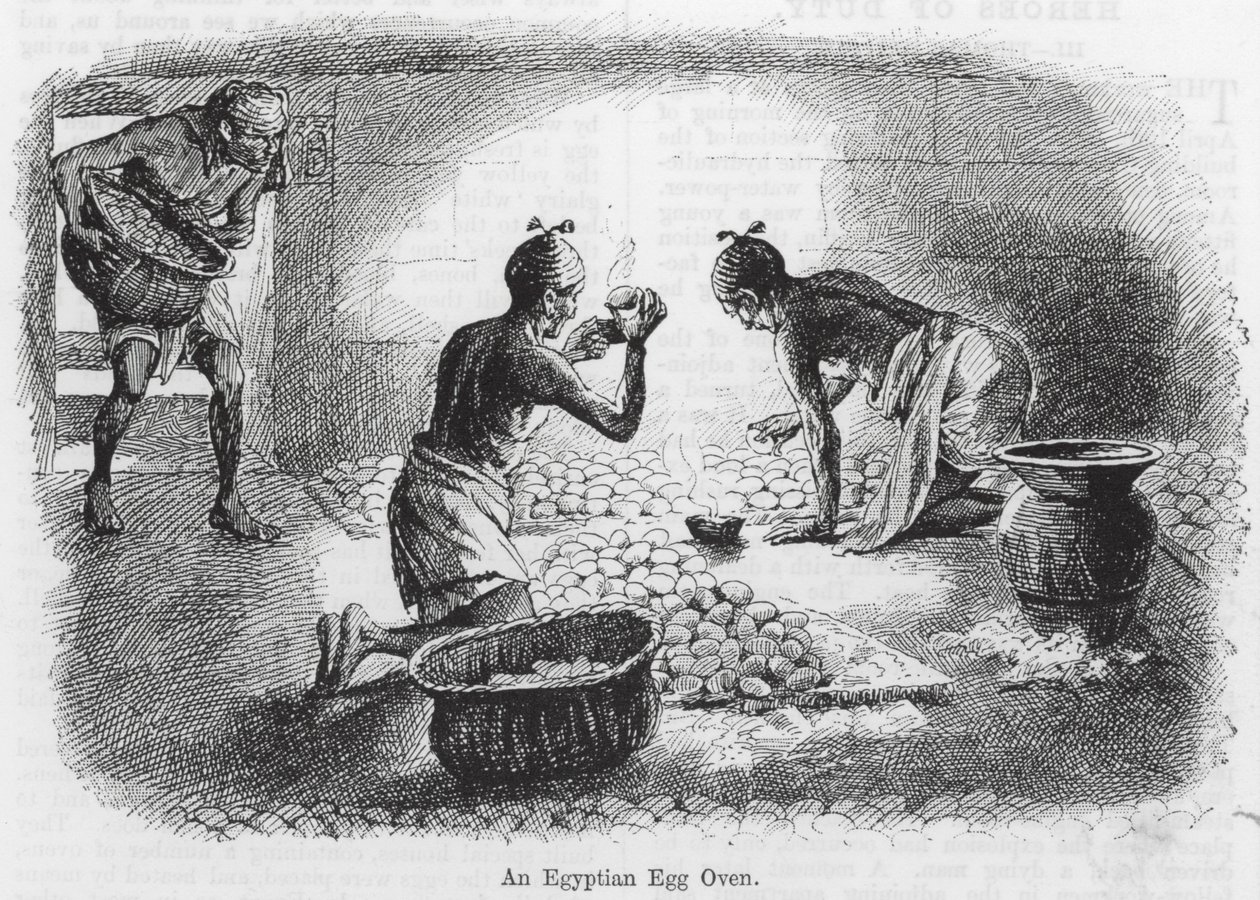 Um forno de ovos egípcio (gravura) de English School