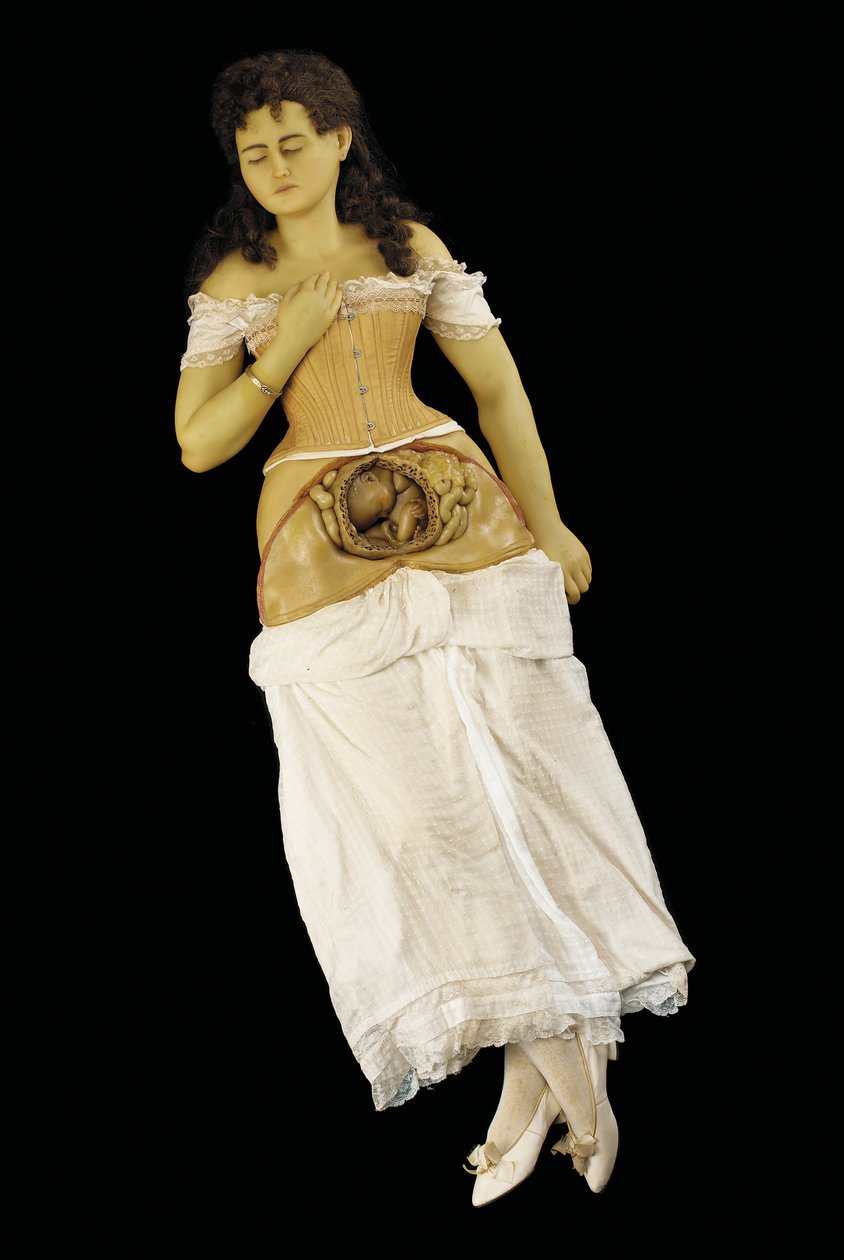 Modelo anatómico de uma mulher grávida (cera e têxteis) de English School