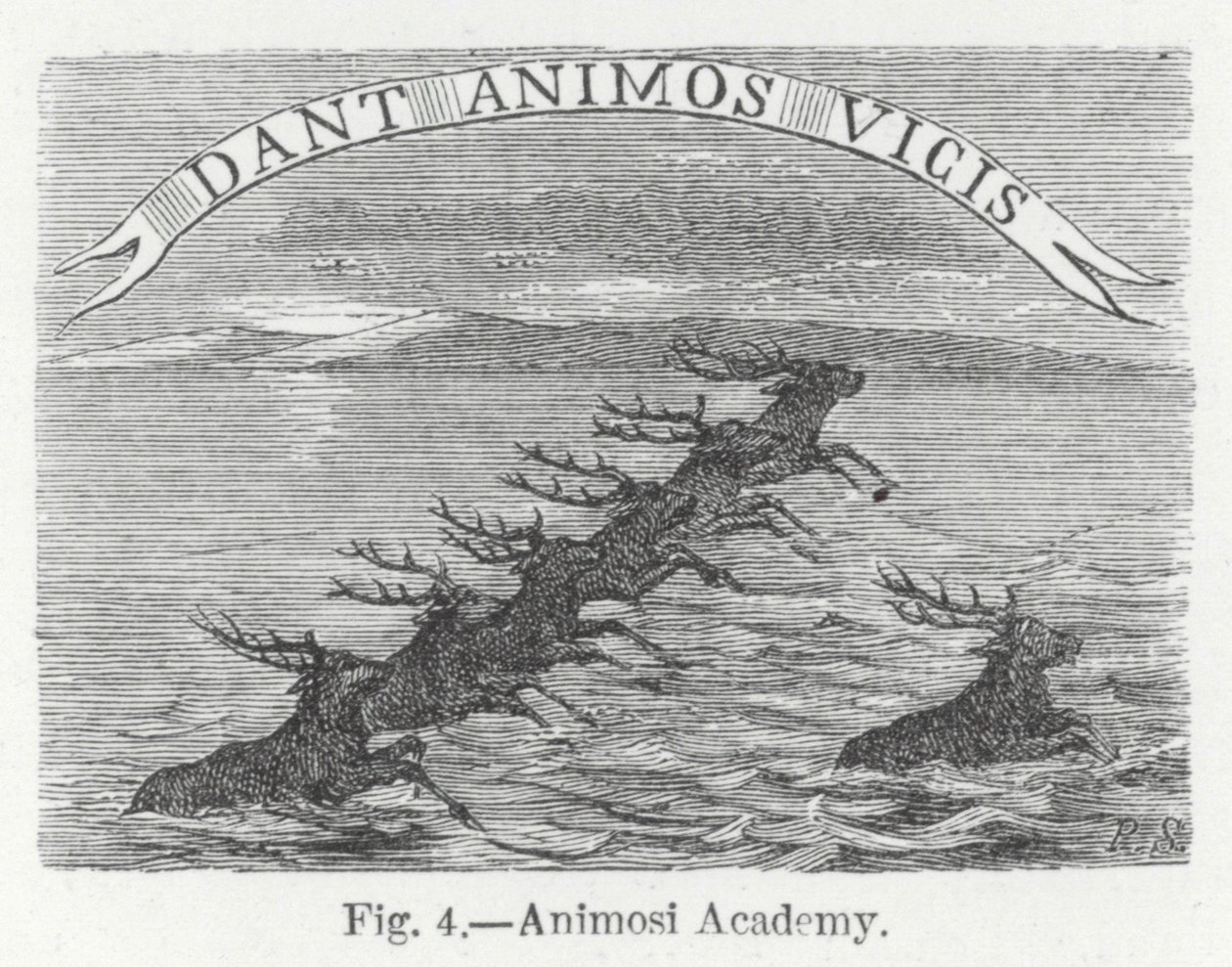 Academia Animosi (gravura) de English School