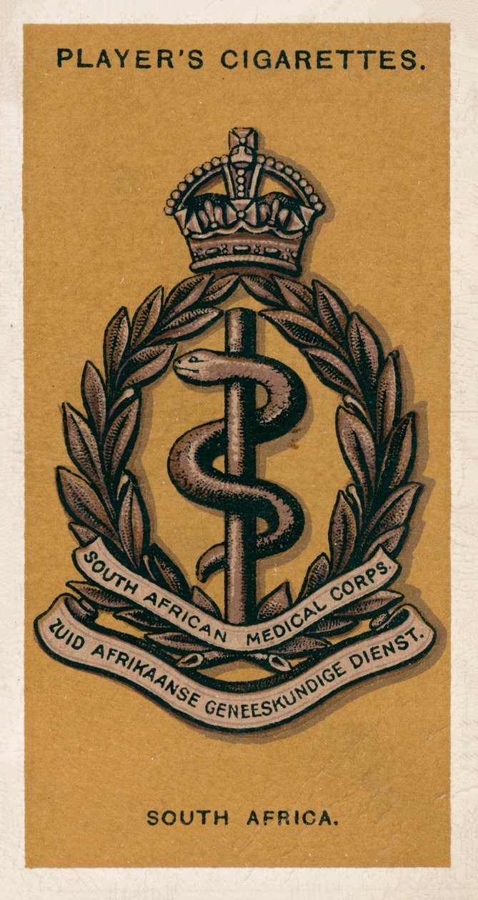 Distintivos do Exército: África do Sul (litografia a cores) de English School