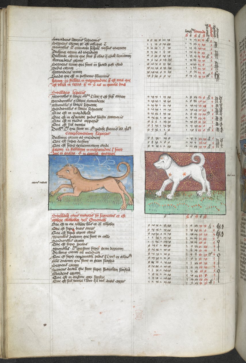 Arundel MS 66 f.44v Canis maior e Canis minor representados como cães 