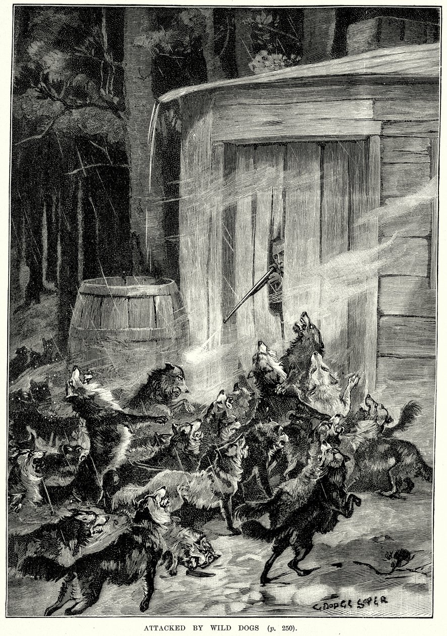 Atacado por cães selvagens (gravura) de English School