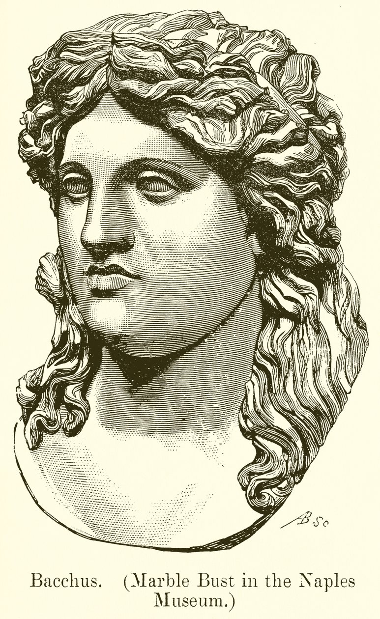 Baco. (Busto de mármore do Museu de Nápoles) (gravura) de English School