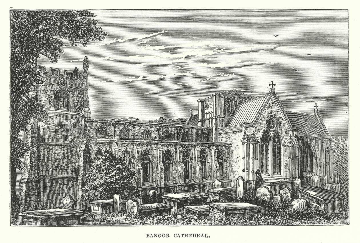Catedral de Bangor (gravura) de English School