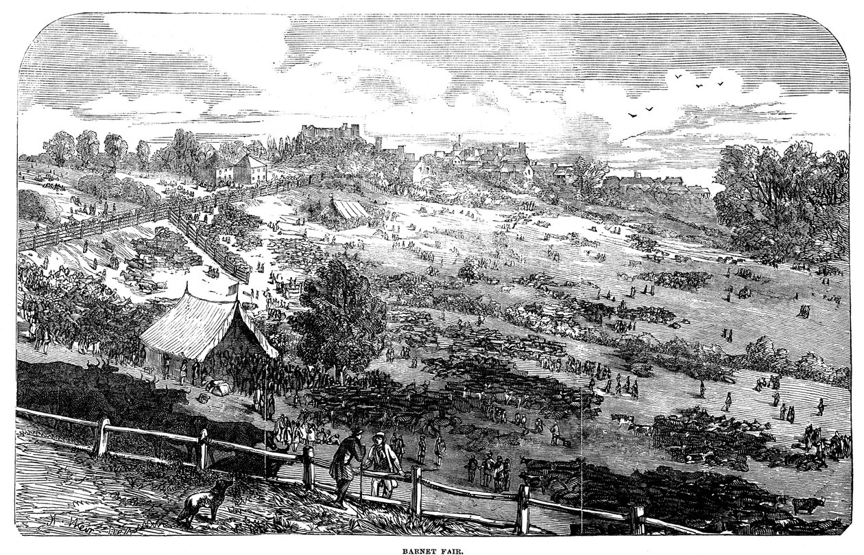 Barnet Fair, 1849 de English School