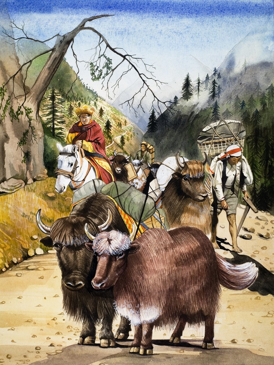 Beasts of Burden, ilustração de "Nature