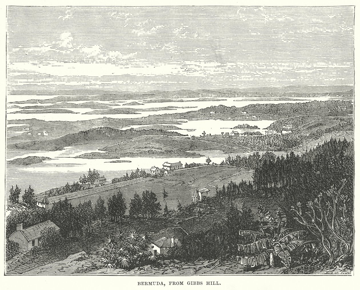 Bermudas, de Gibbs Hill (gravura) de English School