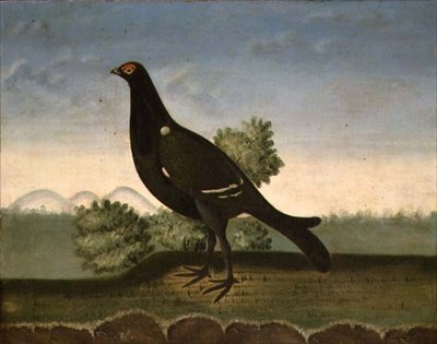 Black Grouse (óleo sobre tela) de English School
