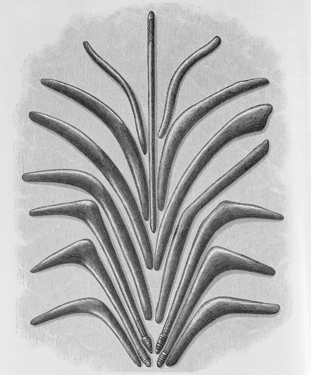 Clubes em forma de bumerangue e bumerangue, de &39;The History of Mankind&39;, Vol.1, do Prof. Friedrich Ratzel, 1896 de English School