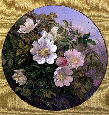 Briar Roses, c.1890 (aguarela sobre papel) de English School