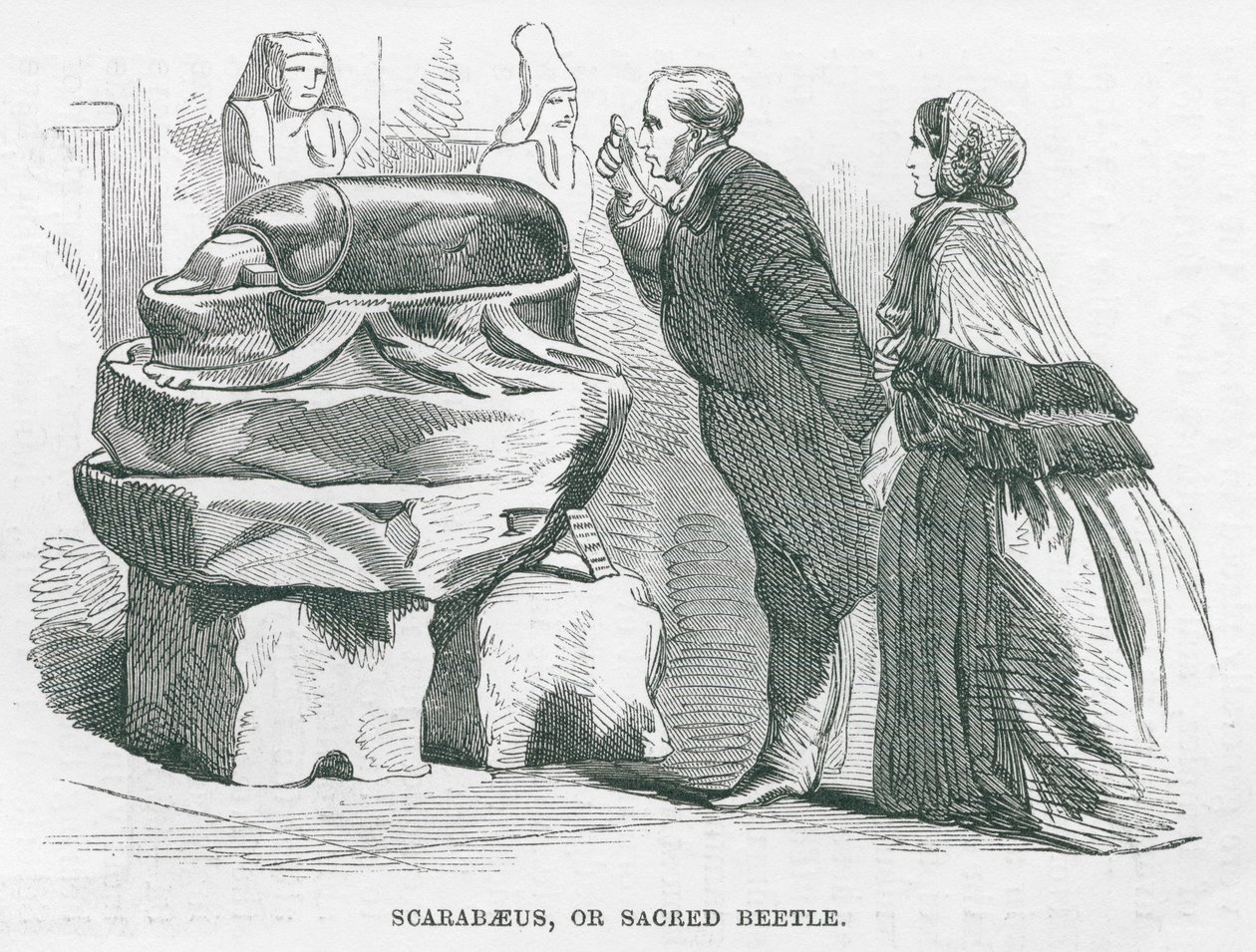 Museu Britânico: Scarabaeus, ou Escaravelho Sagrado (gravura) de English School