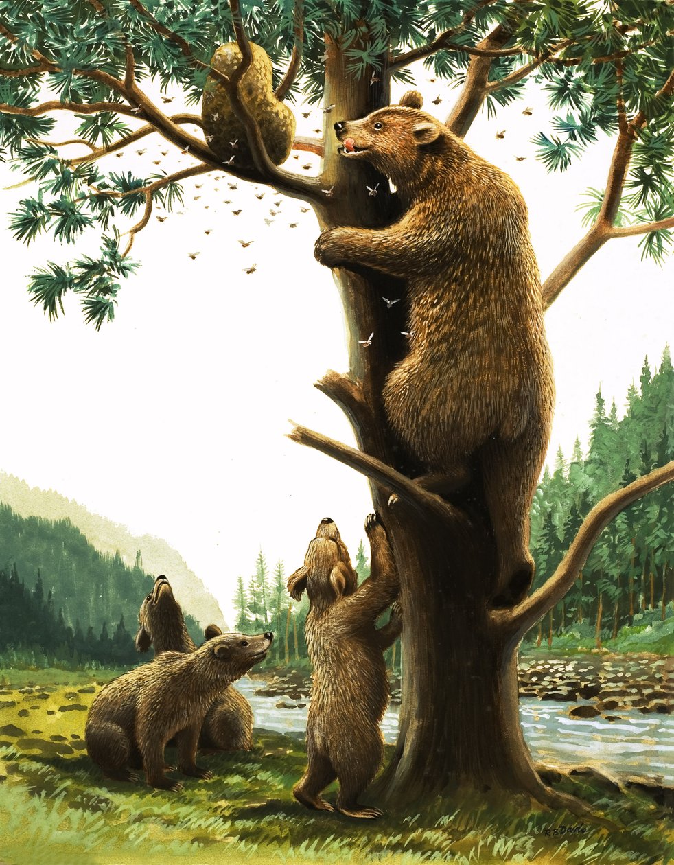 Urso castanho trepa a uma árvore, atraído pelo mel (guache sobre papel) de English School
