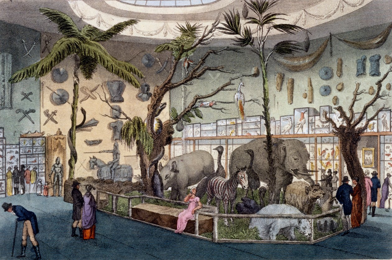 Bullocks Museum, 22 Piccadilly, Londres, do Ackermanns Repository of Arts, 1809 de English School