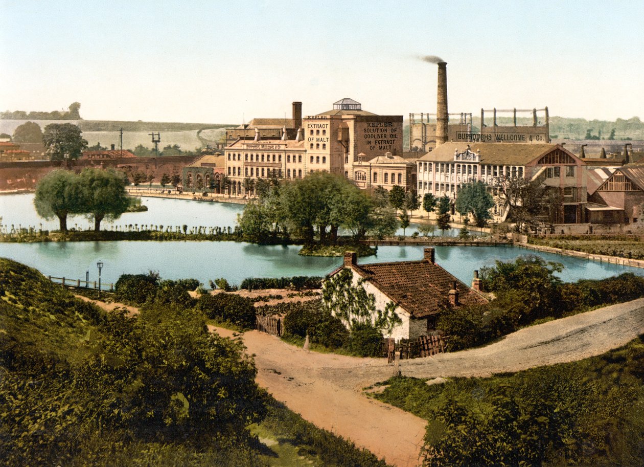 Burroughs, Wellcome & Company Factory, Dartford (foto colorida à mão) de English School